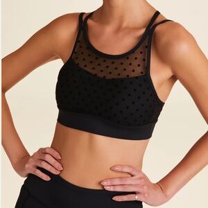 Alala Mirage Cami Bra